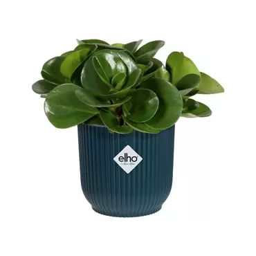 Pot vibes fold d9cm diepblauw sfeerbeeld, Elho, tuincentrumoutlet