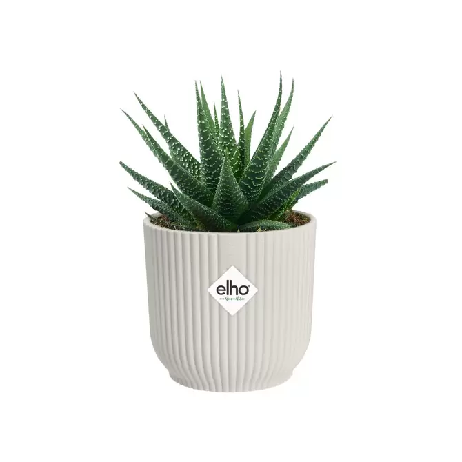 Pot vibes fold d9cm zijdewit sfeer, Elho, tuincentrumoutlet