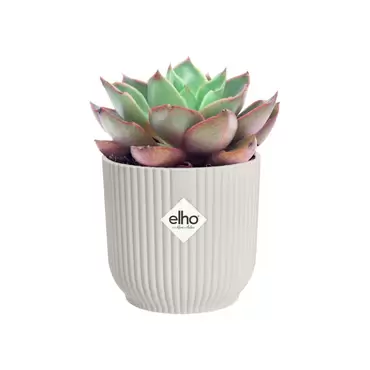 Pot vibes fold d11cm wit sfeerbeeld, Elho, tuincentrumoutlet