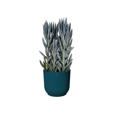 Pot vibes fold d14cm blauw sfeerbeeld, Elho, tuincentrumoutlet