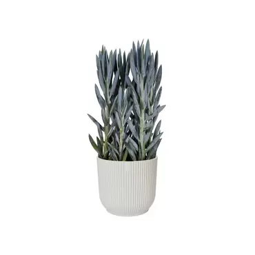 Pot vibes fold d14cm wit sfeerbeeld, Elho, tuincentrumoutlet