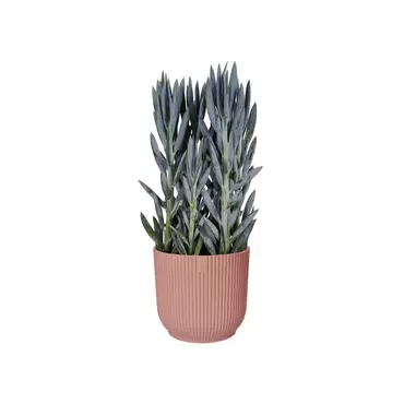 Pot vibes fold d22cm roze sfeerbeeld, Elho, tuincentrumoutlet