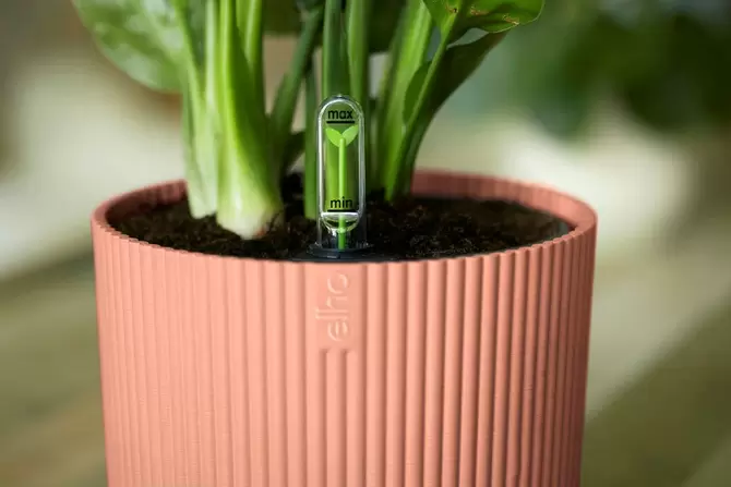 Pot vibes fold d22cm roze close-up, Elho, tuincentrumoutlet