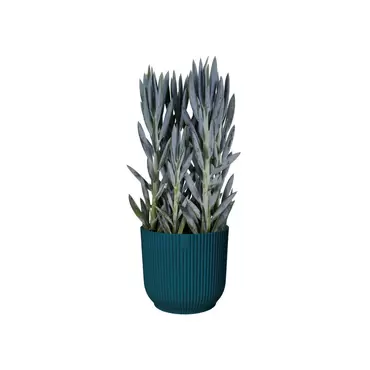 Pot vibes fold d22cm blauw sfeerbeeld, Elho, tuincentrumoutlet