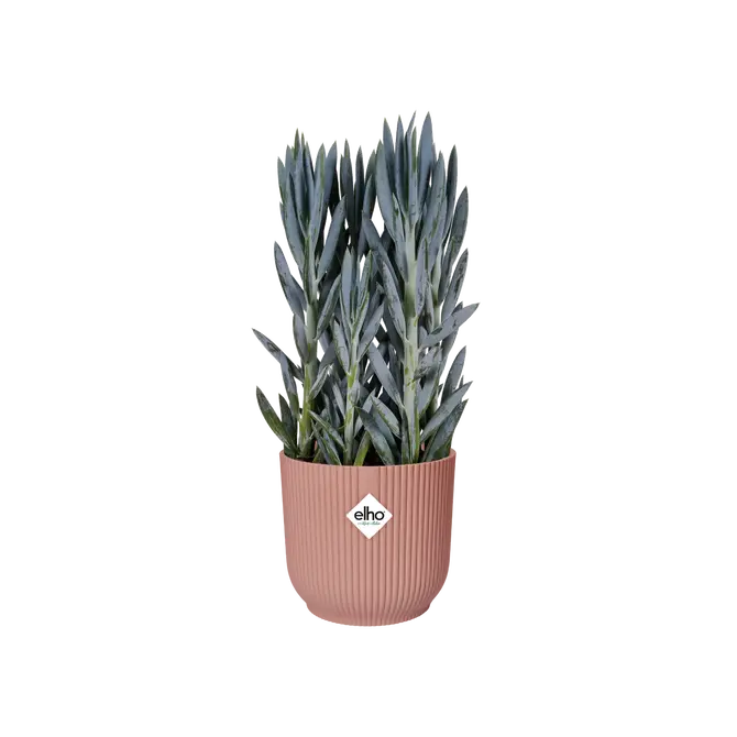 Pot vibes fold Ø30cm delicaatroze sfeer, Elho, tuincentrumoutlet