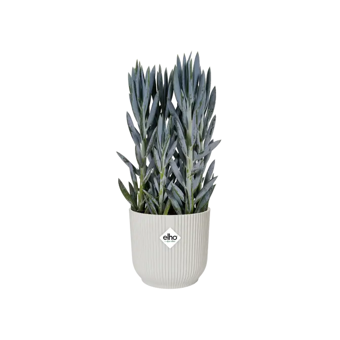 Pot vibes fold Ø30cm zijdewit sfeer, Elho, tuincentrumoutlet