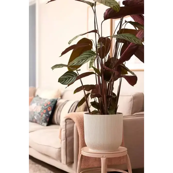 Pot vibes fold Ø30cm zijdewit sfeerfotos, Elho, tuincentrumoutlet