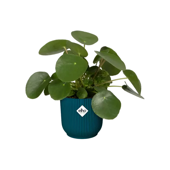 Pot vibes fold wiel d35cm diepblauw sfeerfoto, Elho, tuincentrumoutlet