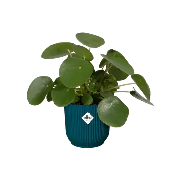 Pot vibes fold wiel d35cm diepblauw sfeerfoto, Elho, tuincentrumoutlet