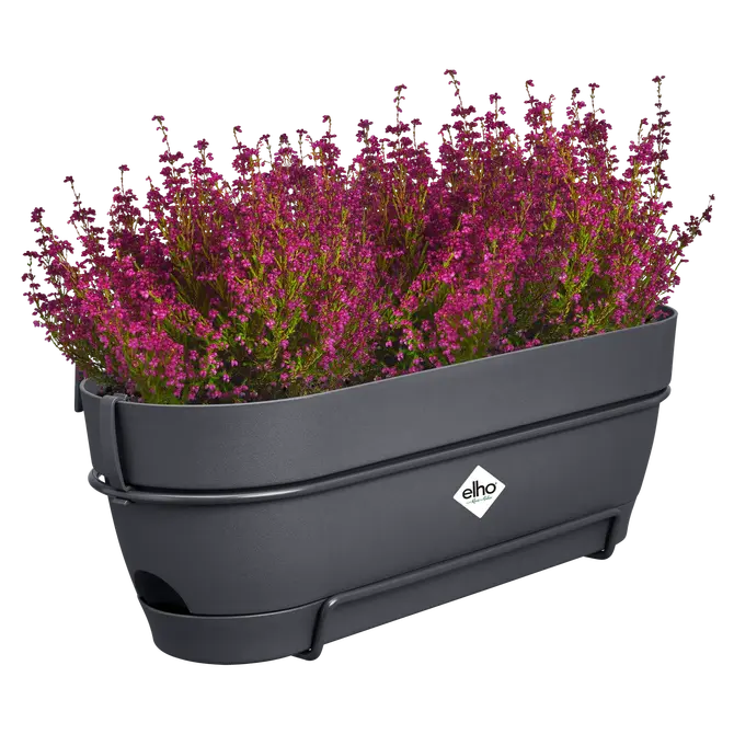 ELHO Vibia camp balkon allin1 50cm antr sfeer, Elho, tuincentrumoutlet