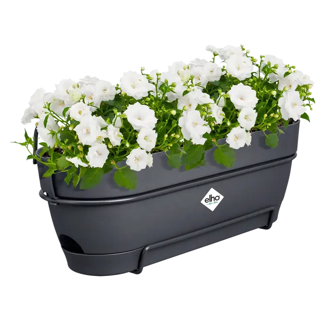 ELHO Vibia camp balkon allin1 50cm antr sfeerfoto, Elho, tuincentrumoutlet