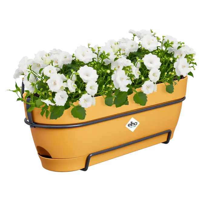 ELHO Vibia camp balkon allin1 50cm hnggeel sfeer, Elho, tuincentrumoutlet