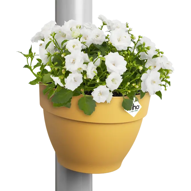 ELHO Vibia camp regenp bakje 22cm hnggeel sfeerfoto, Elho, tuincentrumoutlet