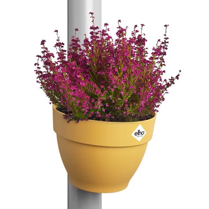 ELHO Vibia camp regenp bakje 22cm hnggeel sfeer, Elho, tuincentrumoutlet