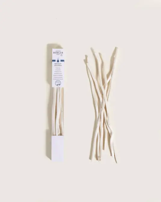 Etui de 6 brins 24cm voor parfumverspreider, lampe berger, tuincentrumoutlet.com