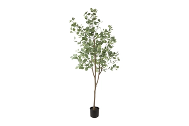 Eucalyptus XL groen, Countryfield, Tuincentrumoutlet