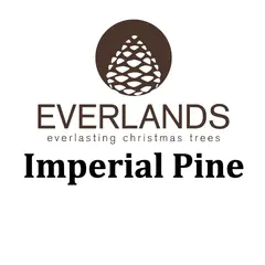 Imperial Pine