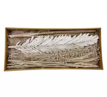 Exotic mix tray 59x26x6cm White wash, Dijk Natural Collections, www.tuincentrumoutlet.com
