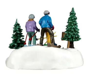 Family ski day - afbeelding 4