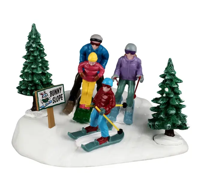 Family ski day - afbeelding 1