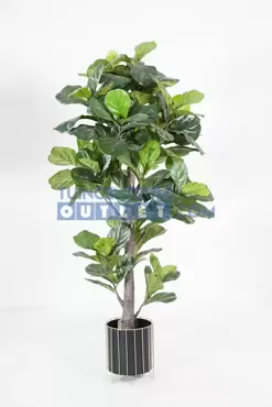 Ficus lyrata i/pot h190cm groen, Noach, www.tuincentrumoutlet.com