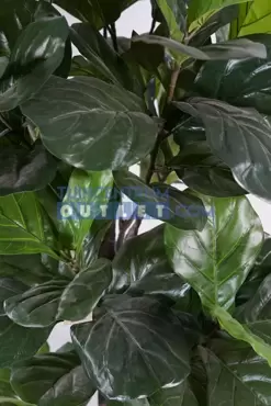 Ficus lyrata i/pot h190cm groen, Noach, www.tuincentrumoutlet.com