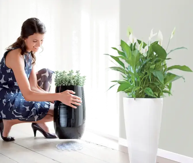 floorprotector rond 12,5 cm transparant sfeer woonkamer, Elho, tuincentrumoutlet