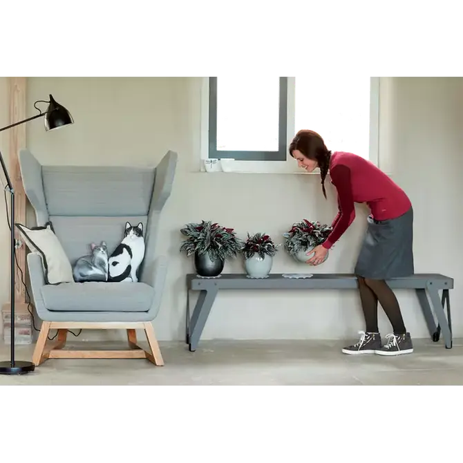 Floorprotector rond d18cm trnsprnt sfeer, Elho, tuincentrumoutlet