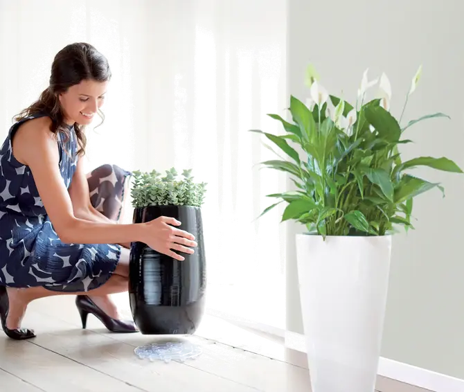 Floorprotector rond d21cm trnsprnt sfeer, Elho, tuincentrumoutlet