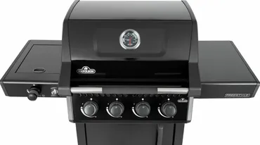 Freestyle 425 4 hfdbr.zijbrndr zwrt boven, Napoleon, tuincentrumoutlet.com