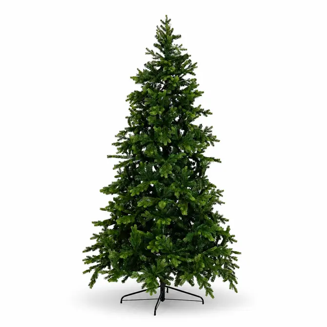 Galloway spruce d150h240cm groen, Everlands, Tuincentrumoutlet.com