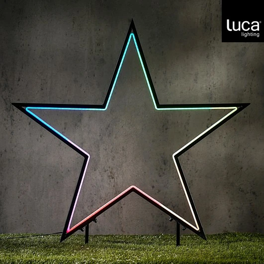 Garden d light neon tuinsteker ster zwart RGB IP44 timer afstandsbediening - l60xh73cm