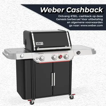 Gasbarbecue genesis ep-335w