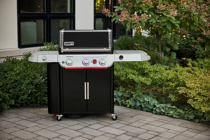Gasbarbecue genesis ep-335w - afbeelding 7