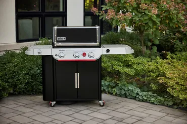 Gasbarbecue genesis ep-335w - afbeelding 7