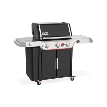 Gasbarbecue genesis ep-335w