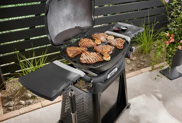 Gasbarbecue q 3200n - afbeelding 8