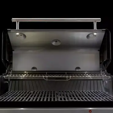 Genesis EPX-435 detail, Weber, bbqkopen