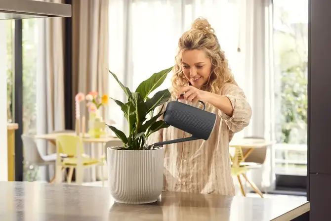 Gieter vibes fold 1.7l antraciet sfeerbeeld, Elho, tuincentrumoutlet.com