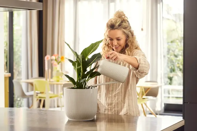 Gieter vibes fold 1.7l wit sfeer, Elho, tuincentrumoutlet.com