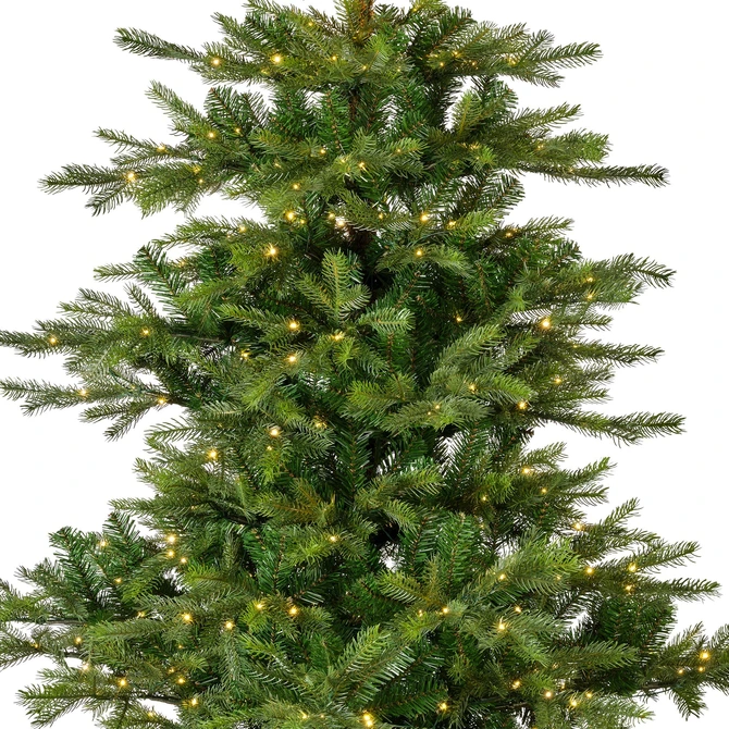 Grandis bm fr prlt d172h270cm grn details, Everlands, tuincentrumoutlet.com
