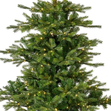Grandis bm fr prlt d172h270cm grn details, Everlands, tuincentrumoutlet.com