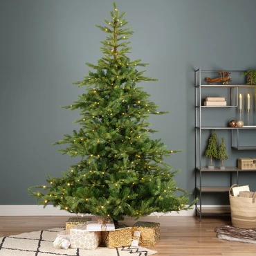 Grandis bm fr prlt d172h270cm grn sfeerbeeld, Everlands, tuincentrumoutlet.com