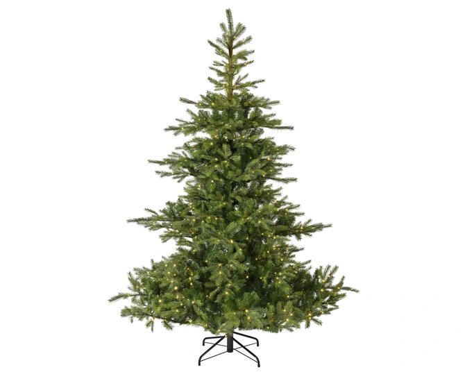 Grandis bm fr prlt d172h270cm grn, Everlands, tuincentrumoutlet.com