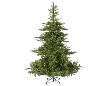 Grandis bm fr prlt d172h270cm grn, Everlands, tuincentrumoutlet.com