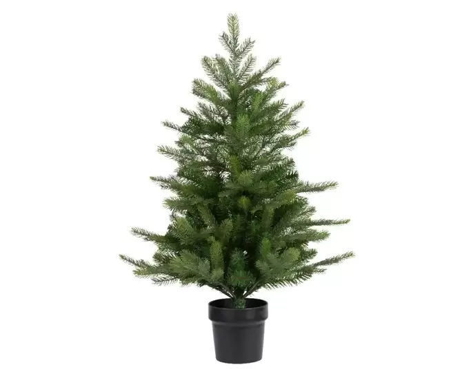 Grandis miniboom - 60 cm groen