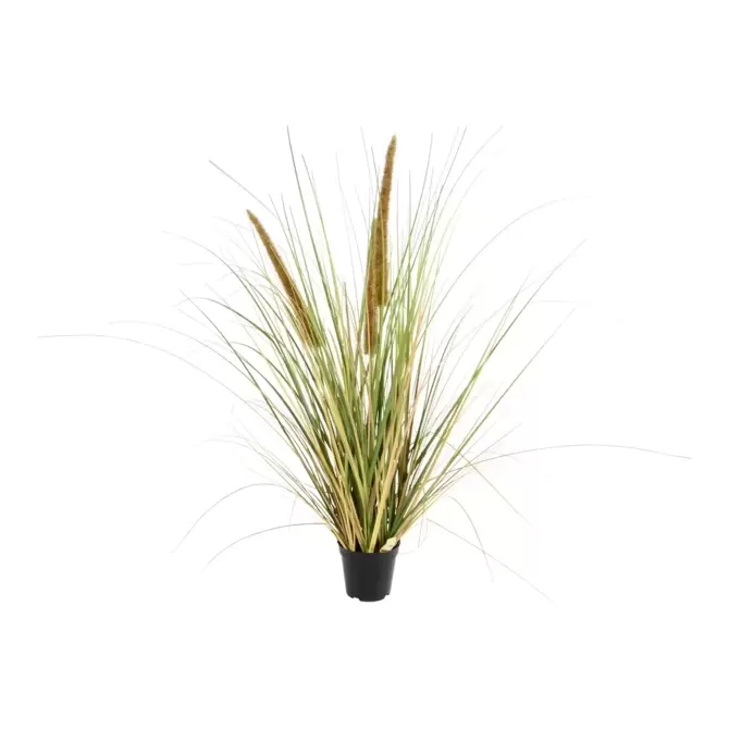 Gras curve - 105 cm