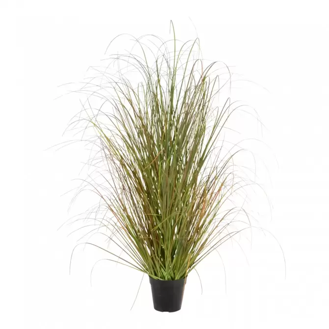 Gras h123cm rood/groen www.tuincentrumoutlet.com