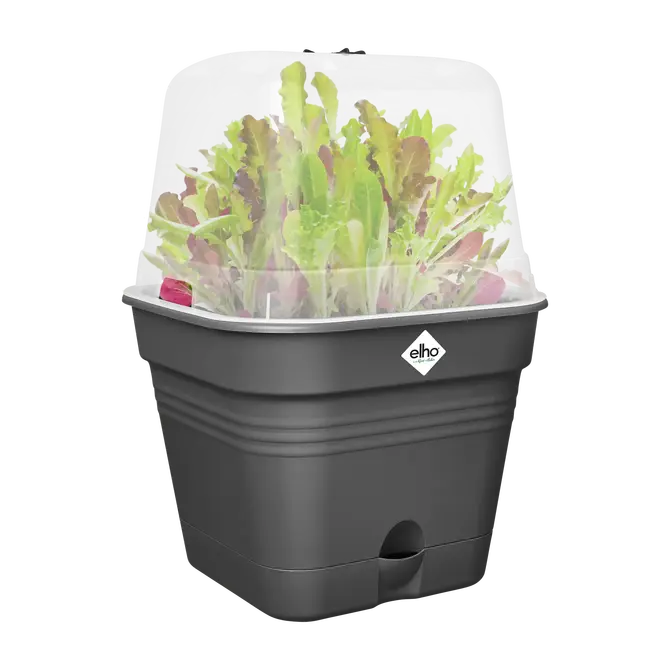 Green basics kweekpot vk allin1 15cm liv bl sfeer, Elho, tuincentrumoutlet