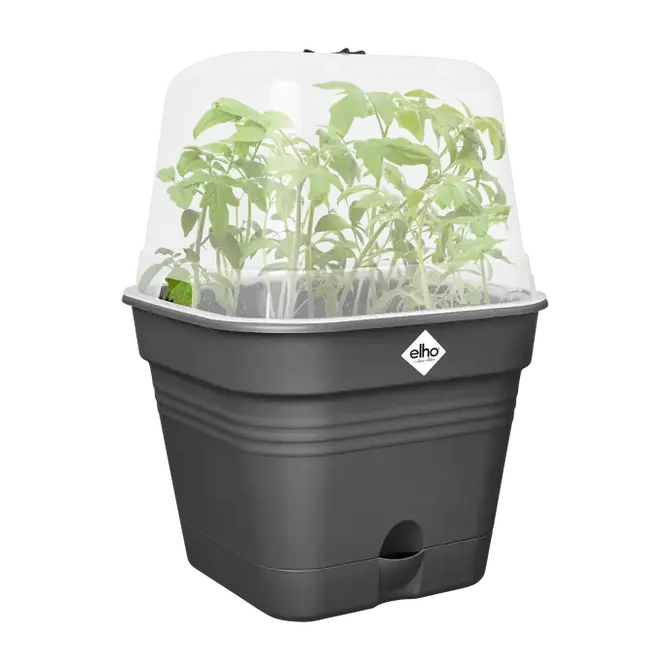 Green basics kweekpot vk allin1 20cm liv bl sfeer, Elho, tuincentrumoutlet